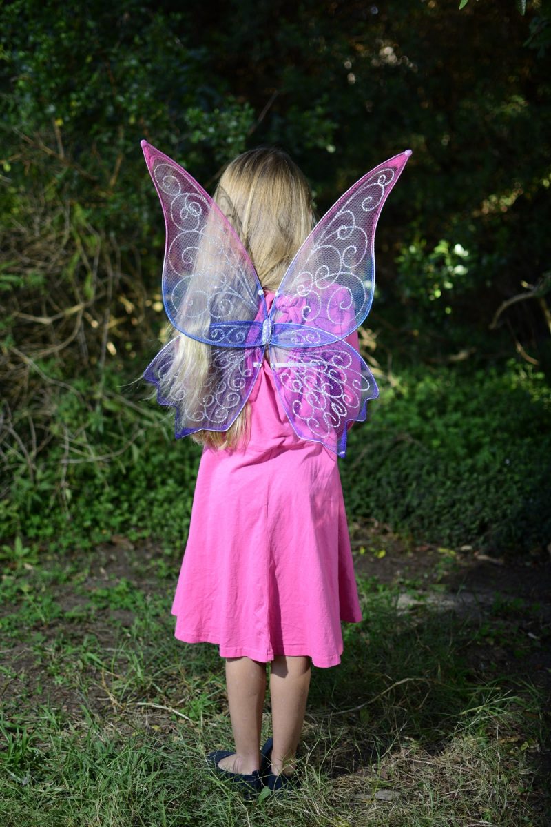 medium fairy wings
