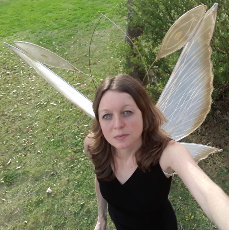 Large Chrysalis Fairy wings for adults