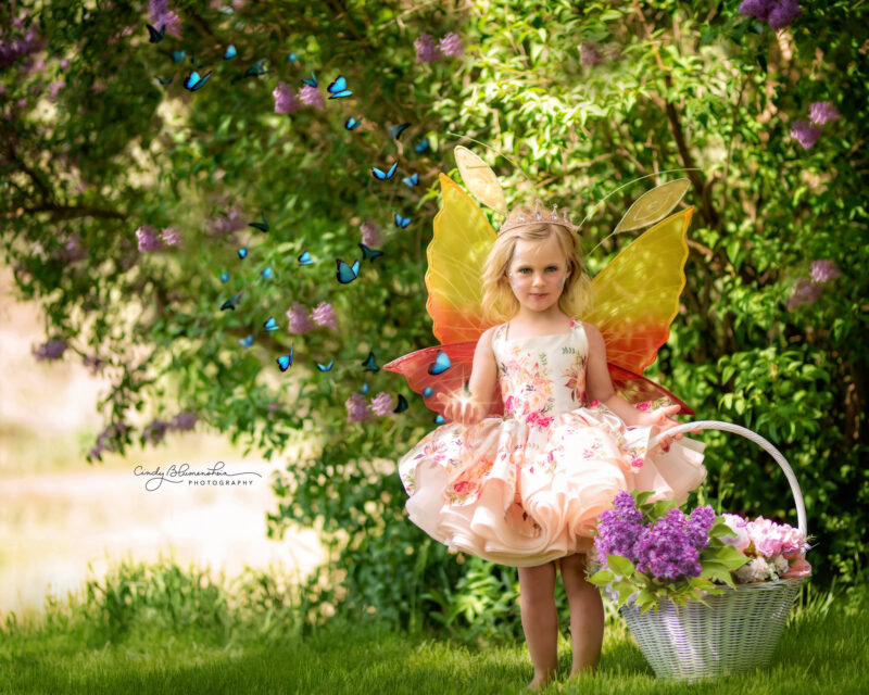 Chrysalis fairy wings for children in gold
