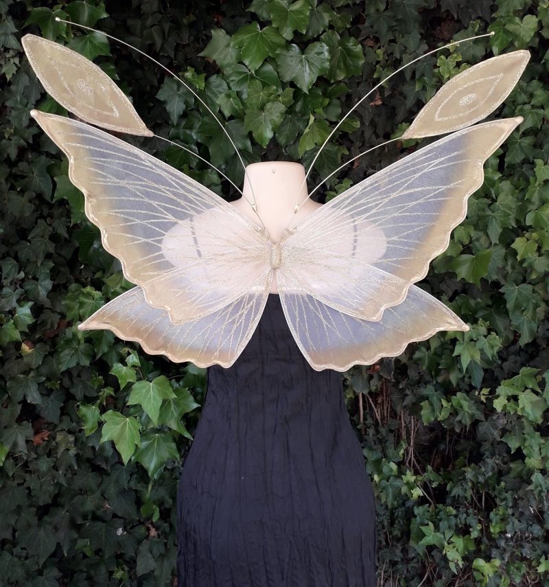 Chrysalis Childrens fairy wings