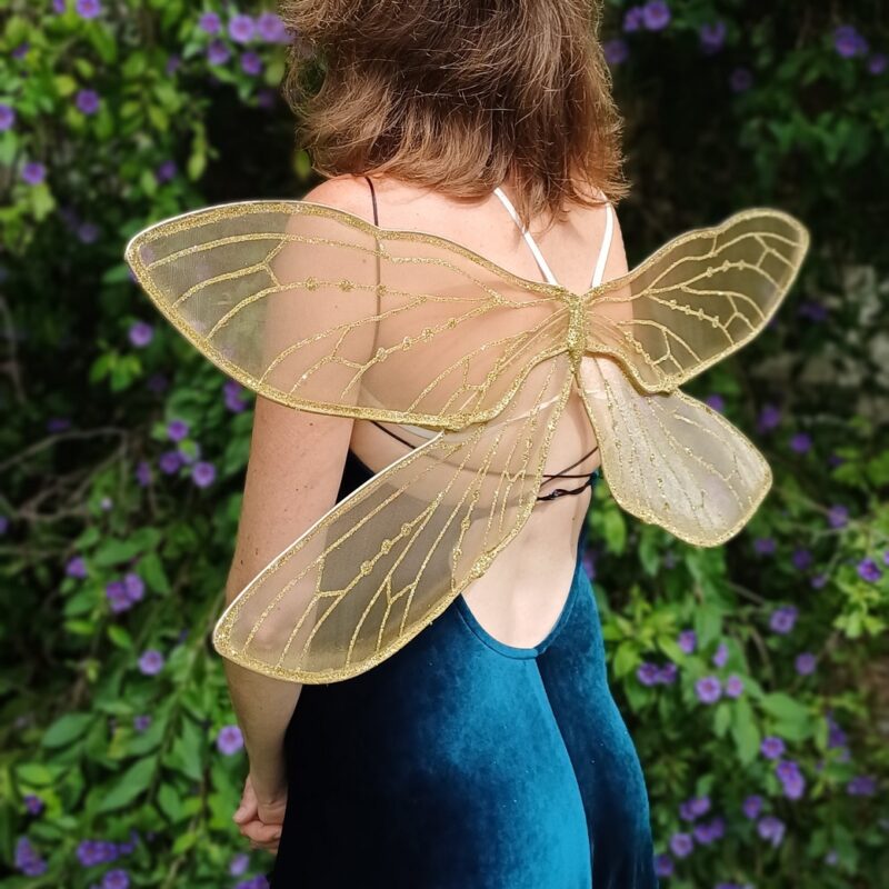 dragonfly fairy wings in gold for adults or children