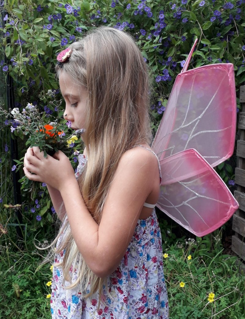 fairy wings for children