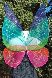 adult rainbow fairy wings